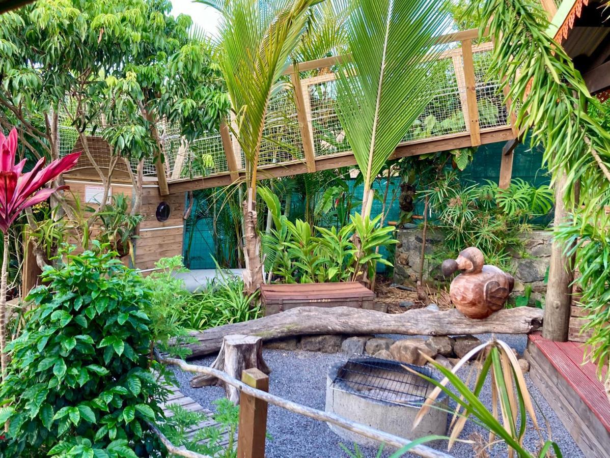 Le Repaire Du Dodo Villa La Saline Les Hauts Екстериор снимка